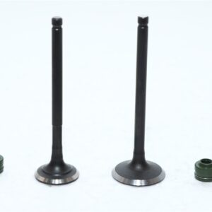 VALVE KIT ACTIVA 110CC