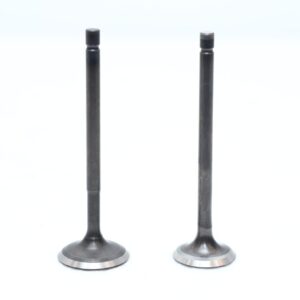 VALVE KIT INT&EXH APACHE-150