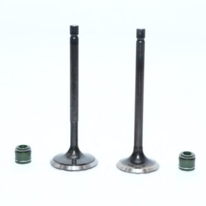 VALVE KIT INL &EXH RTR