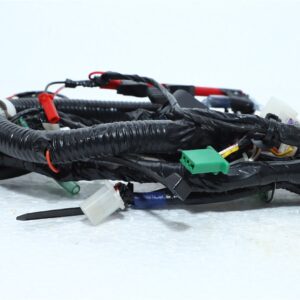 WIRING KIT IGS (ES) MODEL